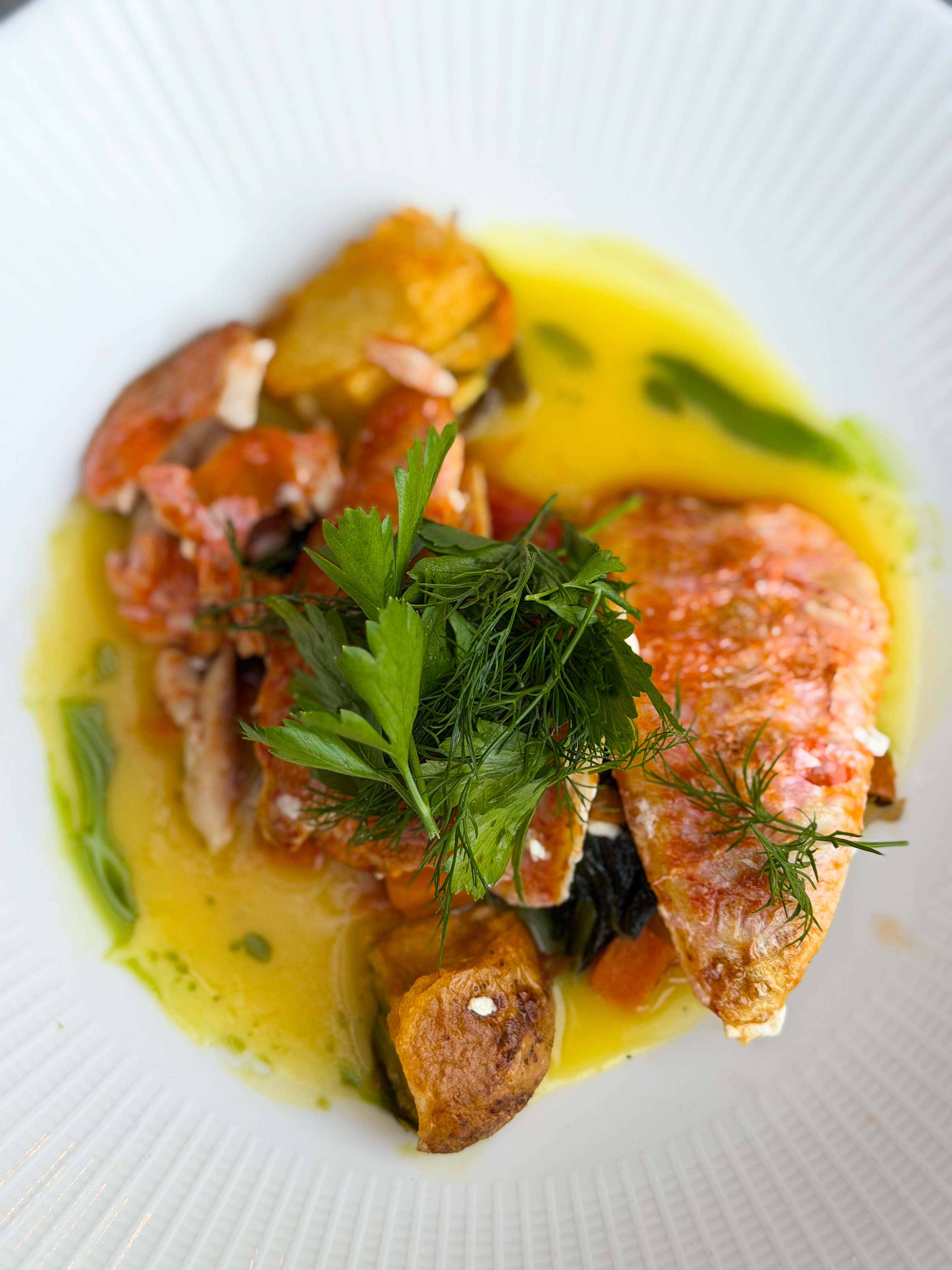 Seafood fillets and roasted potatoes in a golden sauce on a white plate, topped with fresh sprigs of dill and parsley.