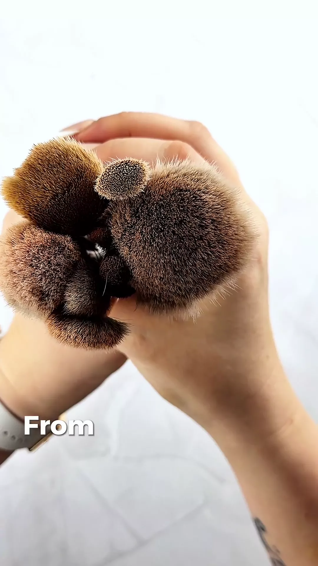 Bundled makeup brushes held in hands, showing the soft textures of brown bristles and product against a white background.